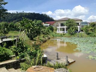 For rent 3 bedrooms house in Kathu, Phuket