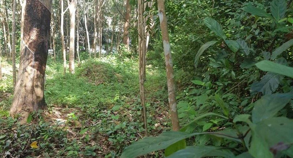 ขาย ที่ดิน ใน ถลาง, ภูเก็ต