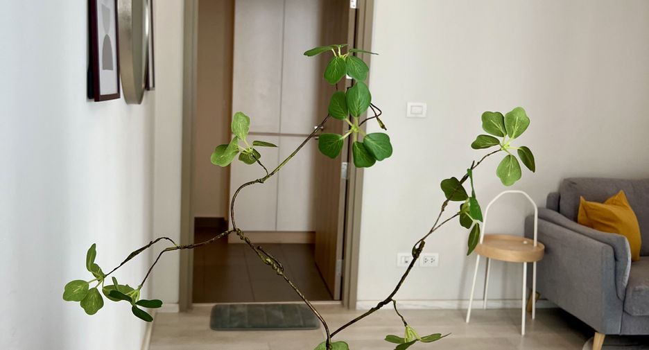 À vendre et à louer 1 chambre condo à Pathum Wan, Bangkok