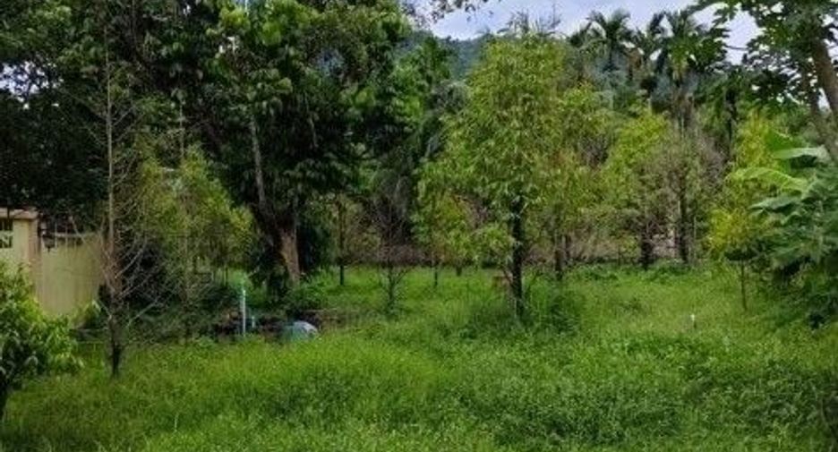 For sale 4 bedrooms house in Thalang, Phuket