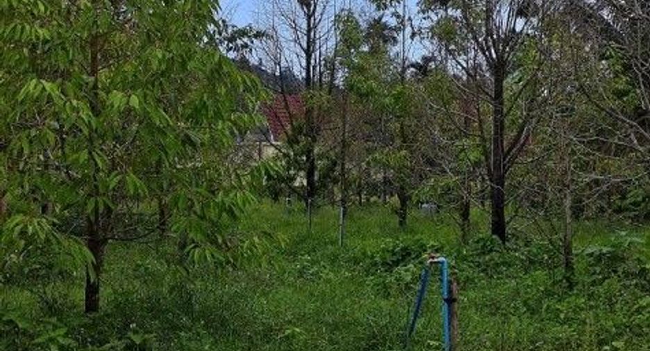 For sale 4 bedrooms house in Thalang, Phuket