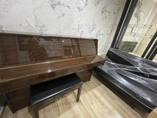 For rent 1 bed condo in Chatuchak, Bangkok