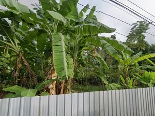 For sale land in Watthana, Bangkok