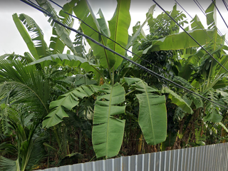 For sale land in Watthana, Bangkok