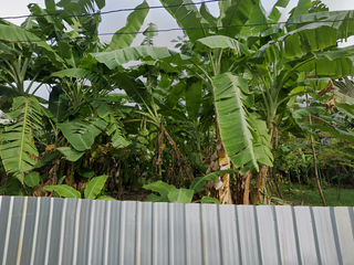 For sale land in Watthana, Bangkok