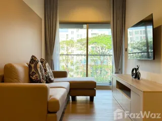 For Rent 1 Bedroom Condo In Mueang Chiang Mai
