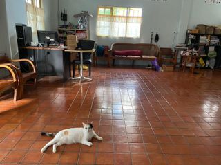 À vendre 4 chambres maison à Mueang Phuket, Phuket