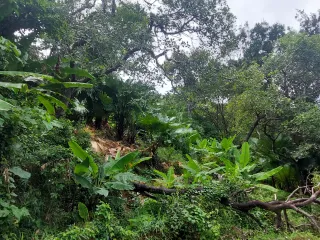 For sale land in Kathu, Phuket