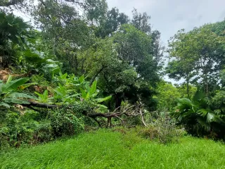 For sale land in Kathu, Phuket