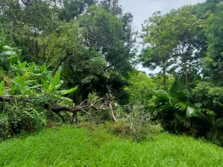 For sale land in Kathu, Phuket
