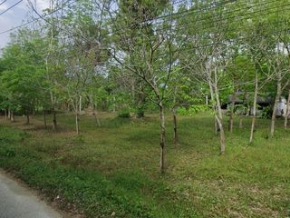ขาย ที่ดิน ใน ตะกั่วทุ่ง, พังงา
