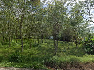 ขาย ที่ดิน ใน ตะกั่วทุ่ง, พังงา