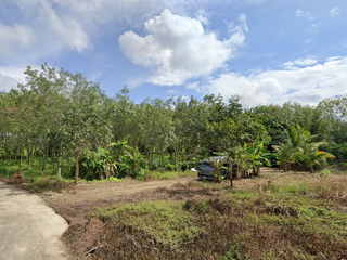 ขาย ที่ดิน ใน ตะกั่วทุ่ง, พังงา