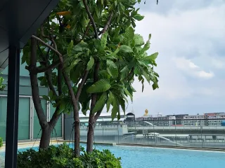 出售 和 出租 1 卧室 公寓 在 Thon Buri, 曼谷