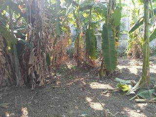 出售 土地 在 Phasi Charoen, 曼谷