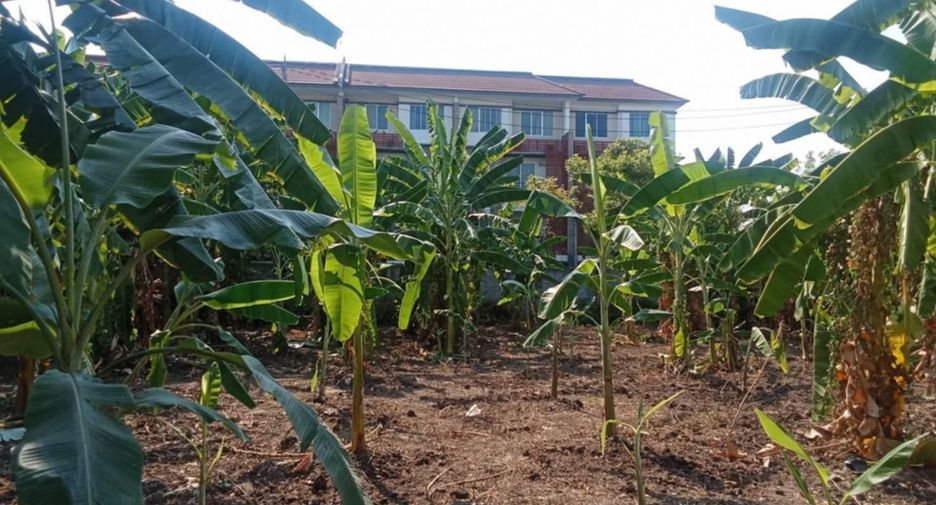 Terreno en venta en Phasi Charoen, Bangkok