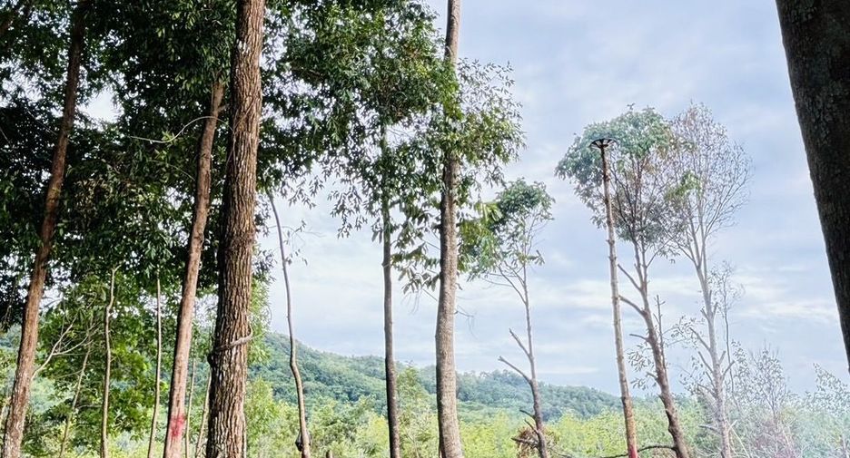 For sale land in Mueang Krabi, Krabi
