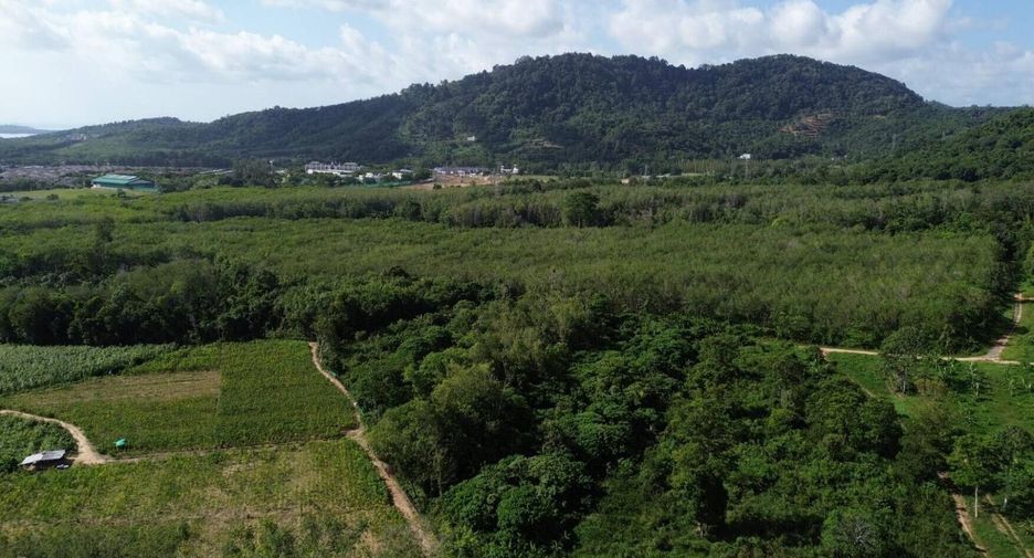 For sale land in Mueang Phuket, Phuket