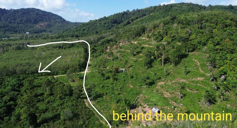 For sale land in Mueang Phuket, Phuket