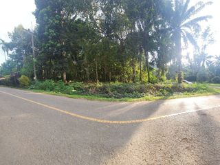 ขาย ที่ดิน ใน เมืองกระบี่, กระบี่