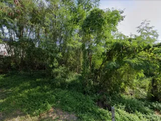出售 土地 在 Lat Phrao, 曼谷