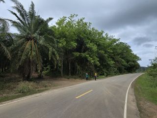ขาย ที่ดิน ใน ตะกั่วทุ่ง, พังงา