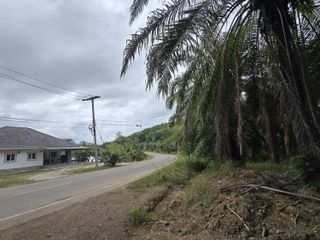 ขาย ที่ดิน ใน ตะกั่วทุ่ง, พังงา
