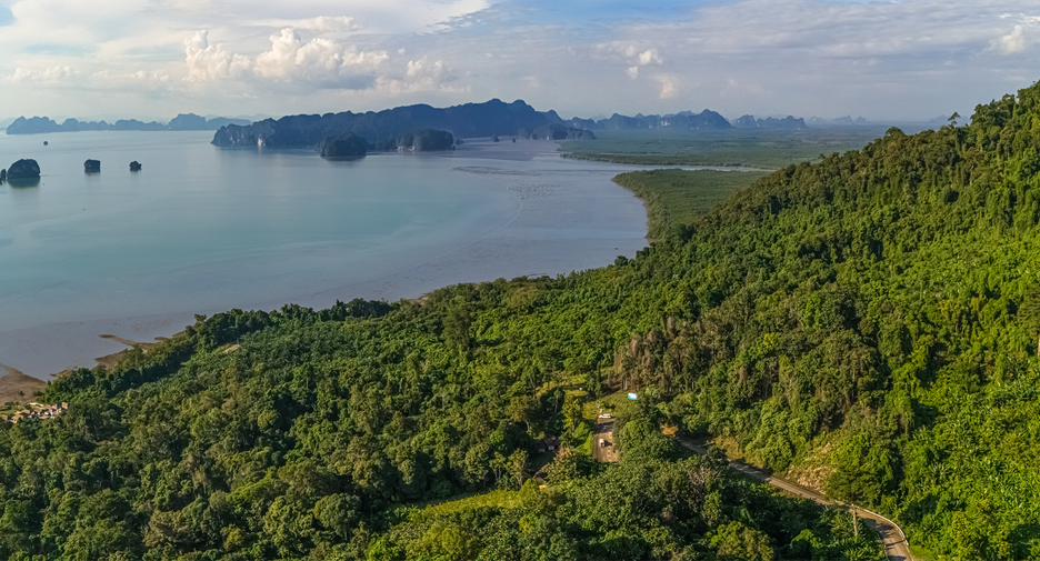 ขาย ที่ดิน ใน เมืองกระบี่, กระบี่