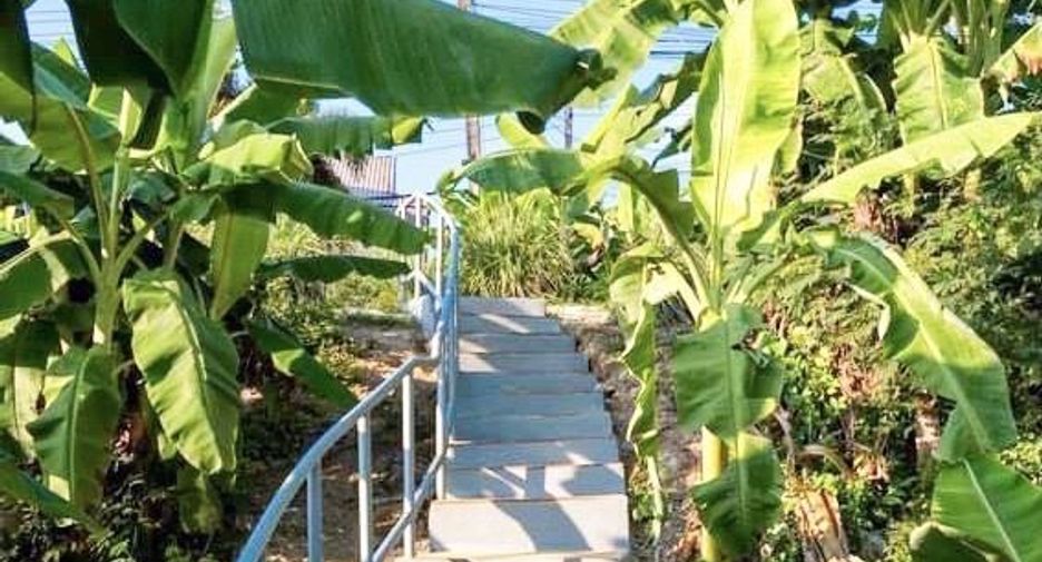 For rent 4 bedrooms villa in Mueang Phuket, Phuket