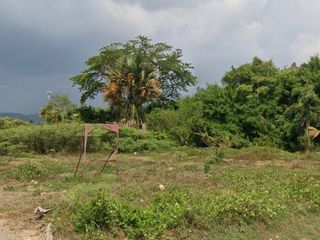 For sale land in Thalang, Phuket