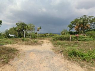 For sale land in Thalang, Phuket