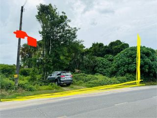 For sale land in Thalang, Phuket