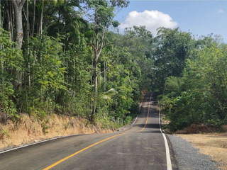 For sale land in Mueang Phuket, Phuket