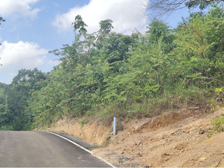 For sale land in Mueang Phuket, Phuket