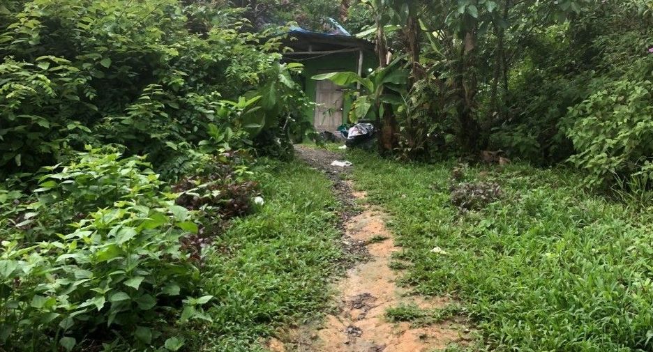 À vendre terrain à Mueang Phuket, Phuket