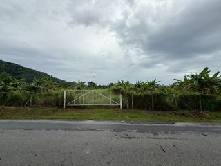 出售 土地 在 Phuket Town, 普吉