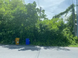 出售 土地 在 塔朗, 普吉