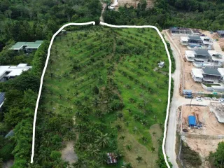 ขาย ที่ดิน ใน ถลาง, ภูเก็ต
