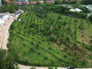 ขาย ที่ดิน ใน ถลาง, ภูเก็ต