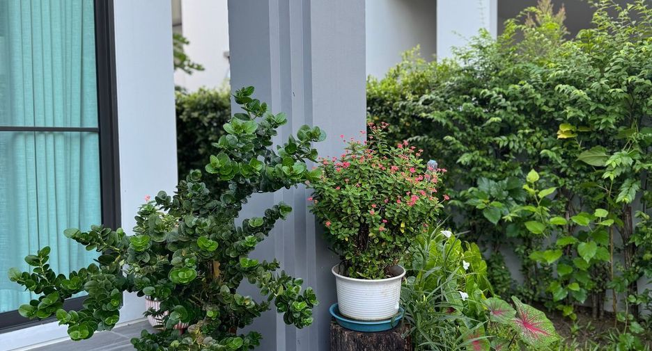 For sale 4 bedrooms house in Lat Krabang, Bangkok