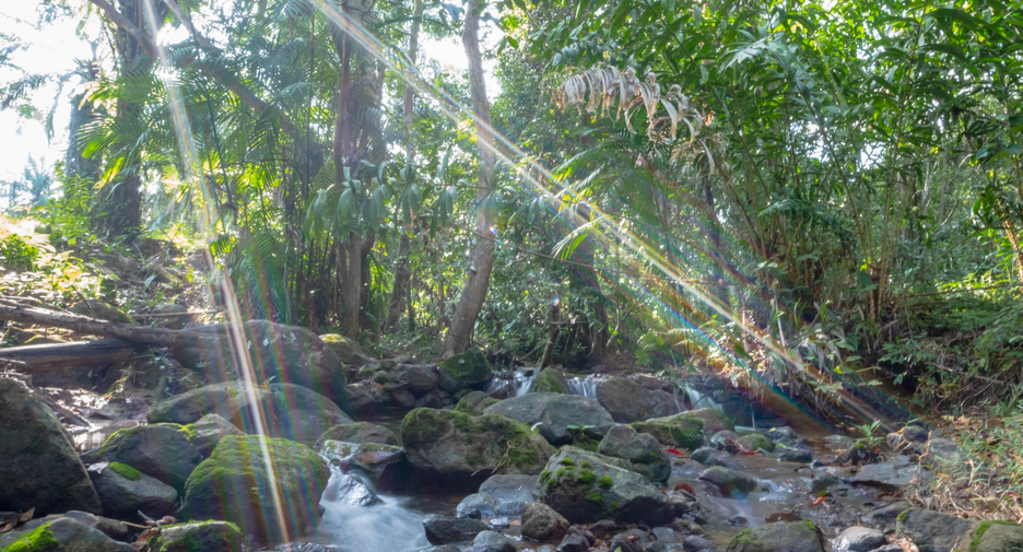 Grundstück zum Kauf in Mueang Krabi, Krabi