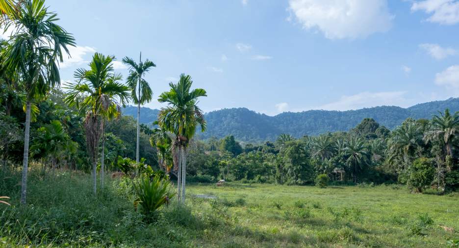 Grundstück zum Kauf in Mueang Krabi, Krabi