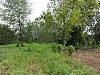 For sale land in Takua Pa, Phang Nga