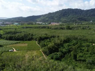 For sale land in Mueang Phuket, Phuket