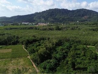 For sale land in Mueang Phuket, Phuket