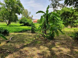 Terreno en venta en Mueang Phuket, Phuket