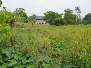 Terreno en venta en Mueang Phuket, Phuket
