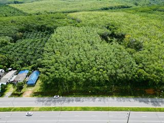 For sale land in Thai Mueang, Phang Nga