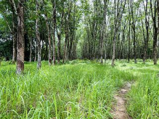 For sale land in Thai Mueang, Phang Nga