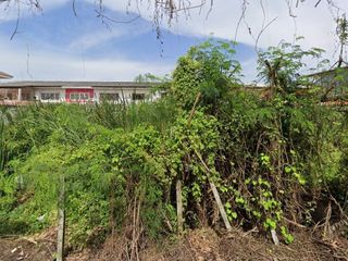 For sale land in Thawi Watthana, Bangkok